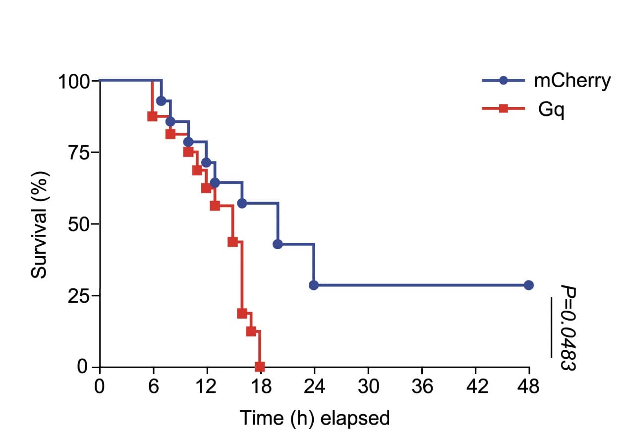 Open access visualization of Line Step, Survival Curve, Survival Analysis, mCherry, Gq Treatment