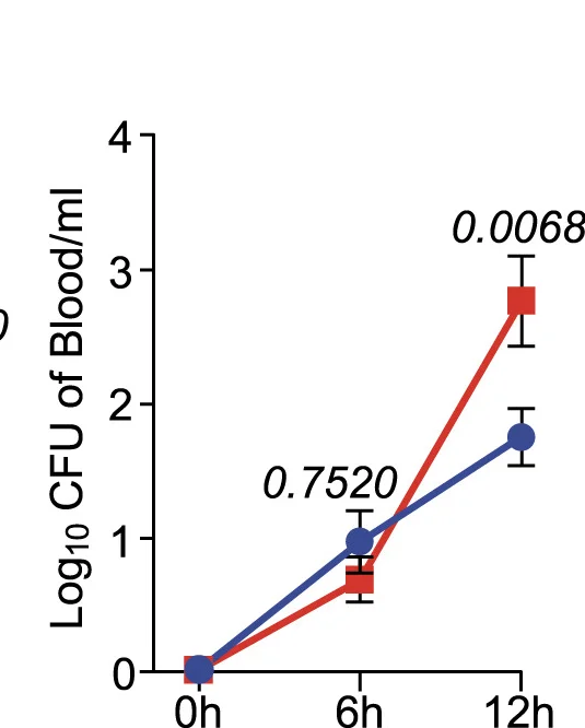 Open access visualization of Line Plot, Error Bars, E. Coli CFU, Blood, Gq Treatment