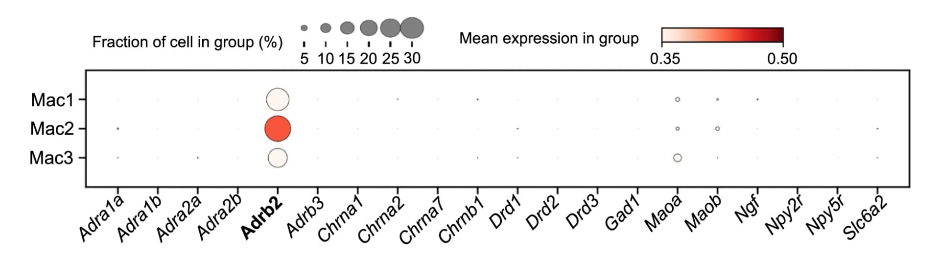 Open access visualization of Bubble Plot, Heatmap, Expression Pattern, Neurotransmitter Receptors, Pulmonary IMs