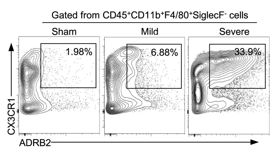 Open access visualization of Scatter Plot, Density Plot, Flow Cytometry, Macrophages, CD45