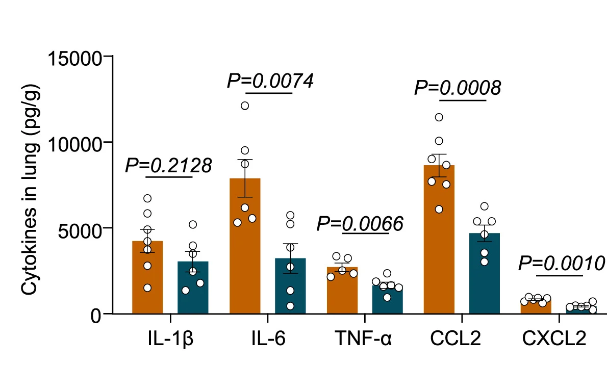 Open access visualization of Bar Plot, Error Bars, ELISA, IL-1, IL-6