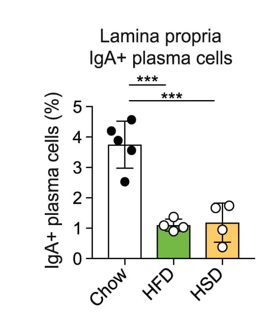 Open access visualization of Bar Plot, Error Bars, Scatter Plot, IgA+ Plasma Cells, Small Intestinal Lamina Propria