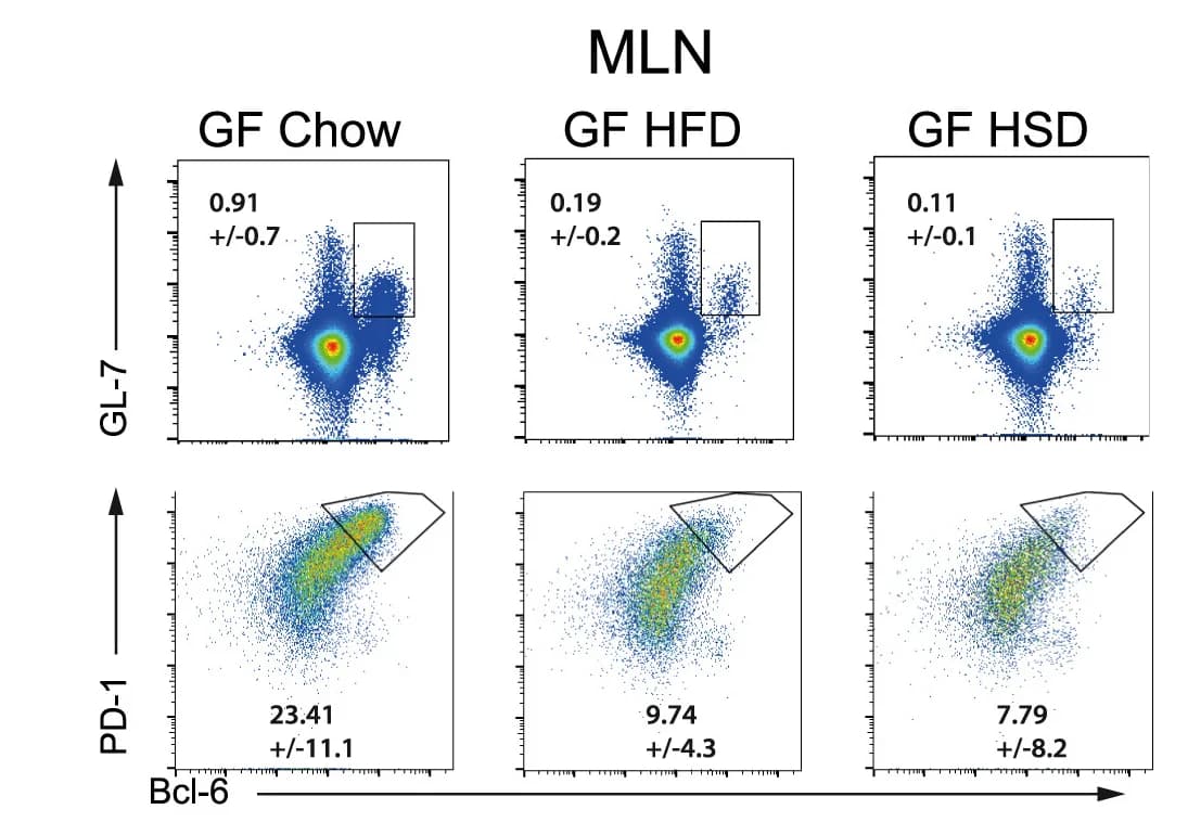 Open access visualization of Scatter Plot, GL-7+Bcl-6+ Lymphocytes, PD-1+Bcl-6+ Lymphocytes, Mesenteric Lymph Nodes, Chow Diet