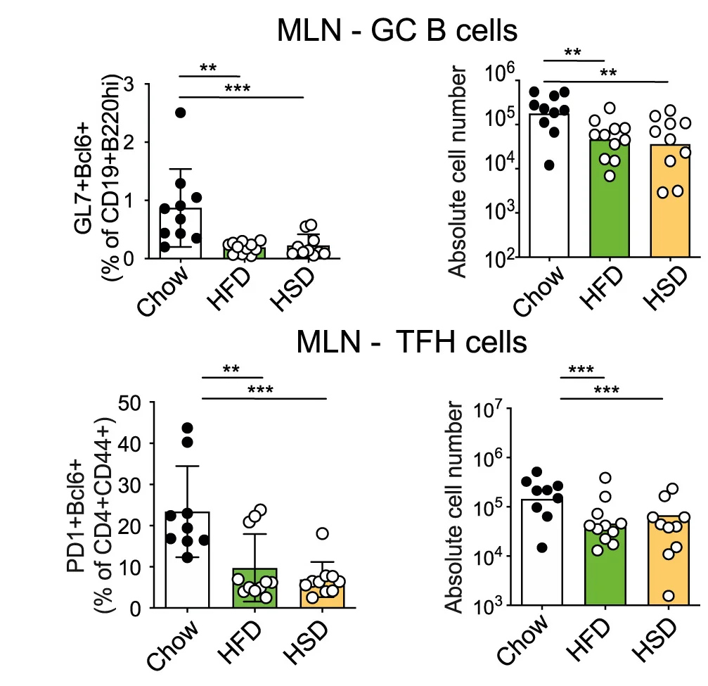 Open access visualization of Bar Plot, Error Bars, Scatter Plot, GL-7+Bcl6+CD19+ GC B Cells, Bcl6+PD-1+CD3+CD4+CD44+ T Follicular Helper Cells