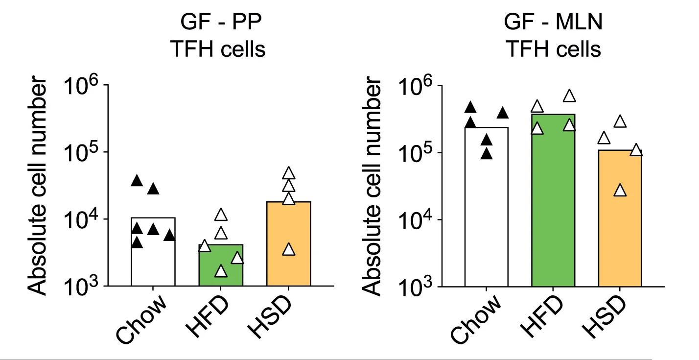 Open access visualization of Bar Plot, Scatter Plot, B Cells, TFH Cells, HFD Diet