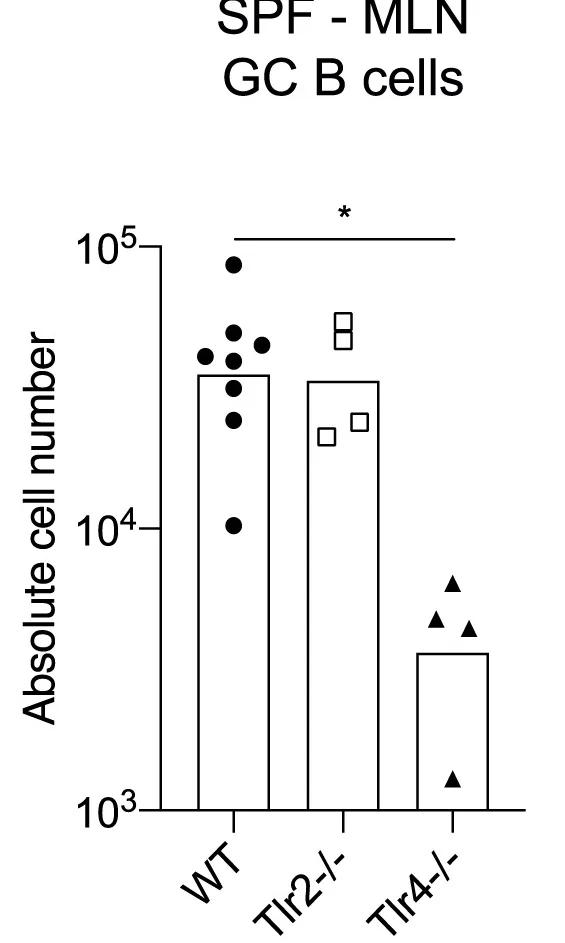 Open access visualization of Bar Plot, Scatter Plot, B Cells, TFH Cells, MLN