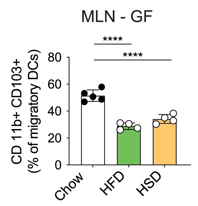 Open access visualization of Bar Plot, Error Bars, CD11b+CD103+ Cells, Migratory DCs, MLN