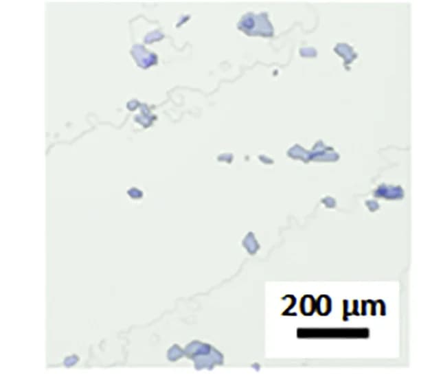 Open access visualization of Microscopy, Anode, Zn/Ti Pouch Cell, XCT, Pristine
