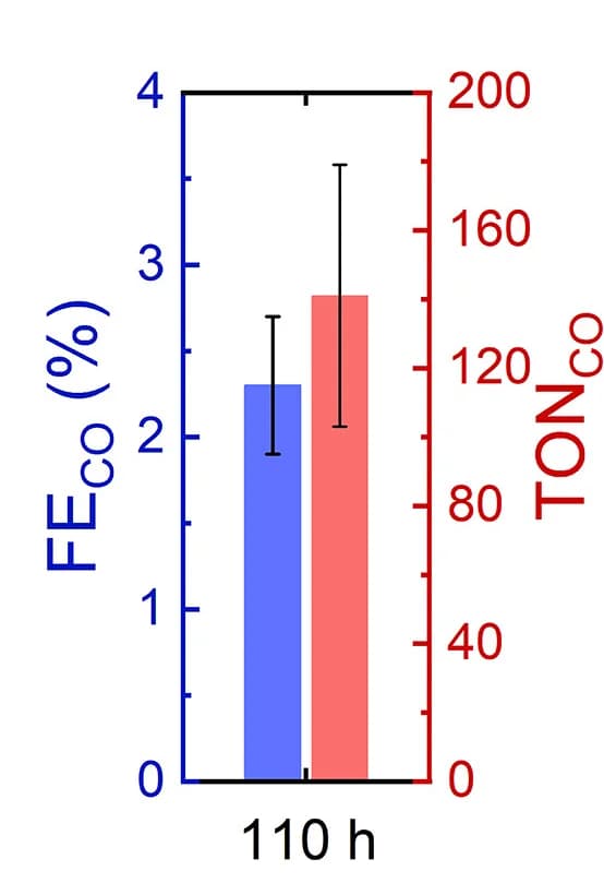 Open access visualization of Bar Plot, Error Bars, Clustered, FECO, TONCO