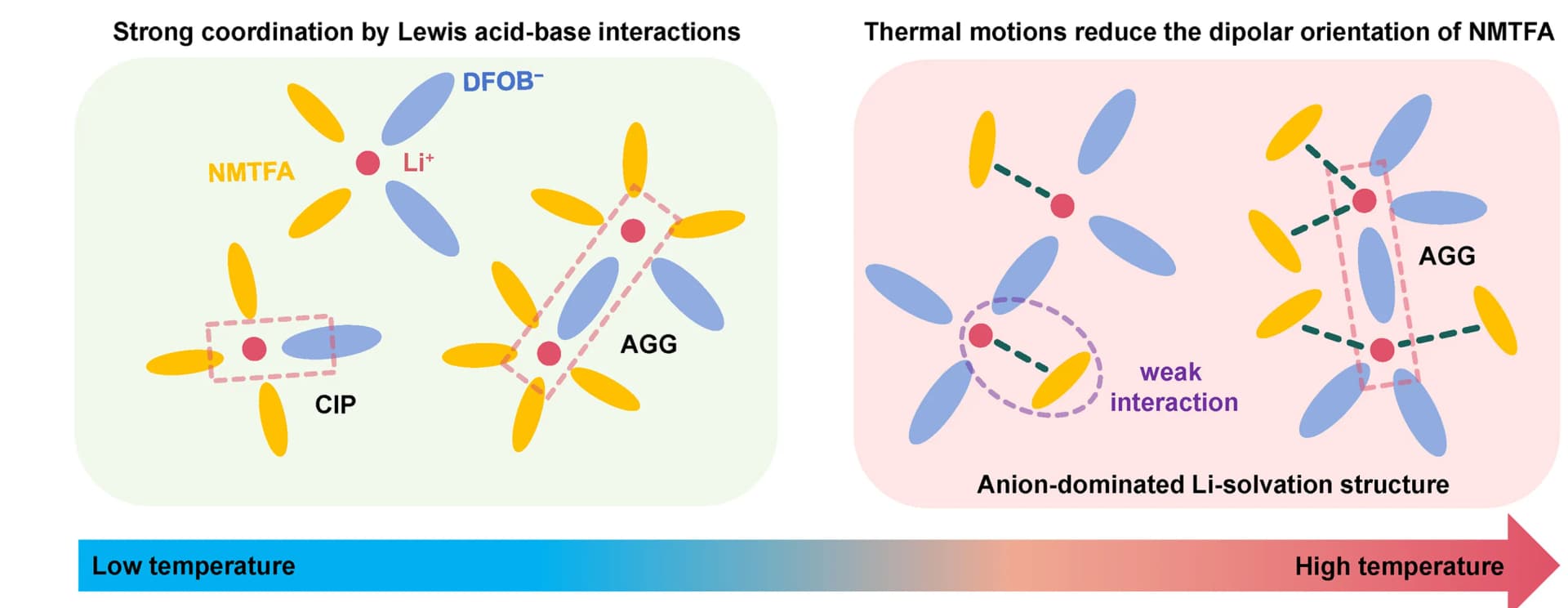 Open access visualization of Illustration, Chemical Structure, Schematic Diagram, Temperature-Dependent Solvation Structures, Temperature