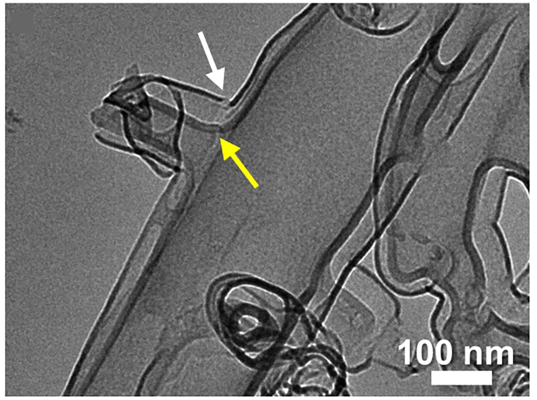 Open access visualization of Microscopy, TEM Image, 3D-DLCT