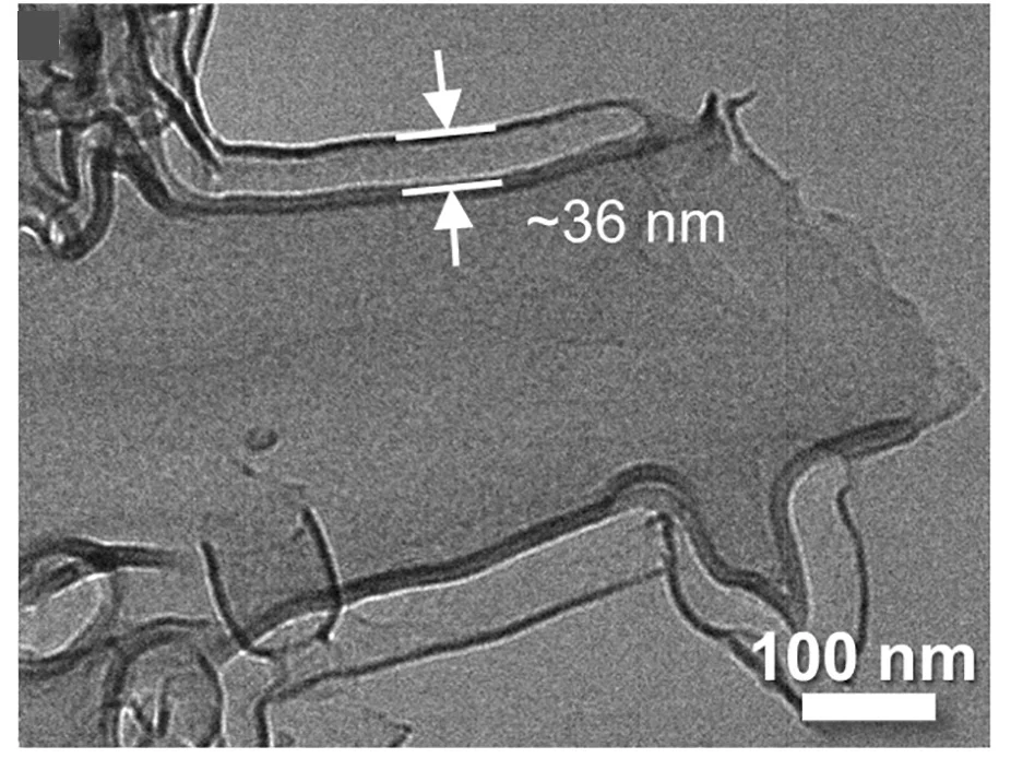 Open access visualization of Microscopy, TEM Images, 3D-DLCT, Inter-layer Spacings