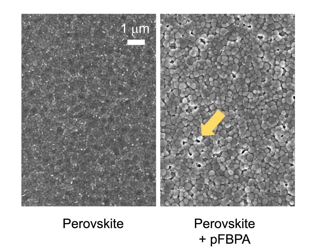 Open access visualization of Microscopy, Scanning Electron Microscopy, Perovskite Absorbers, pFBPA, Pinhole