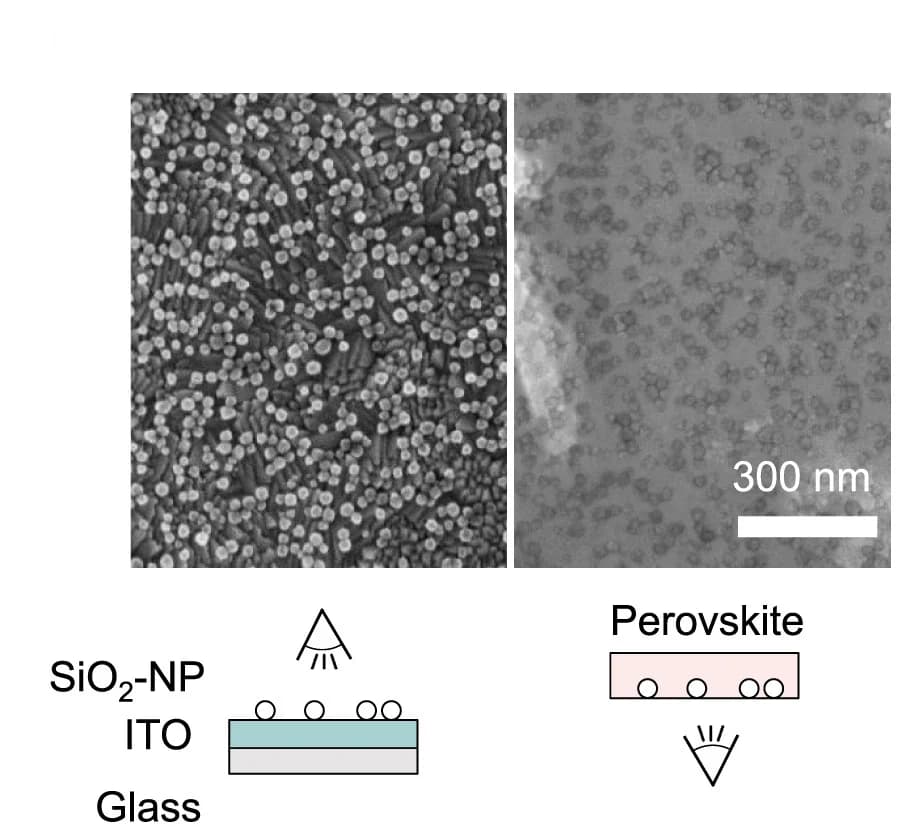 Open access visualization of Microscopy, Illustration, Scanning Electron Microscope, SiO2-NPs, Glass/ITO Substrate