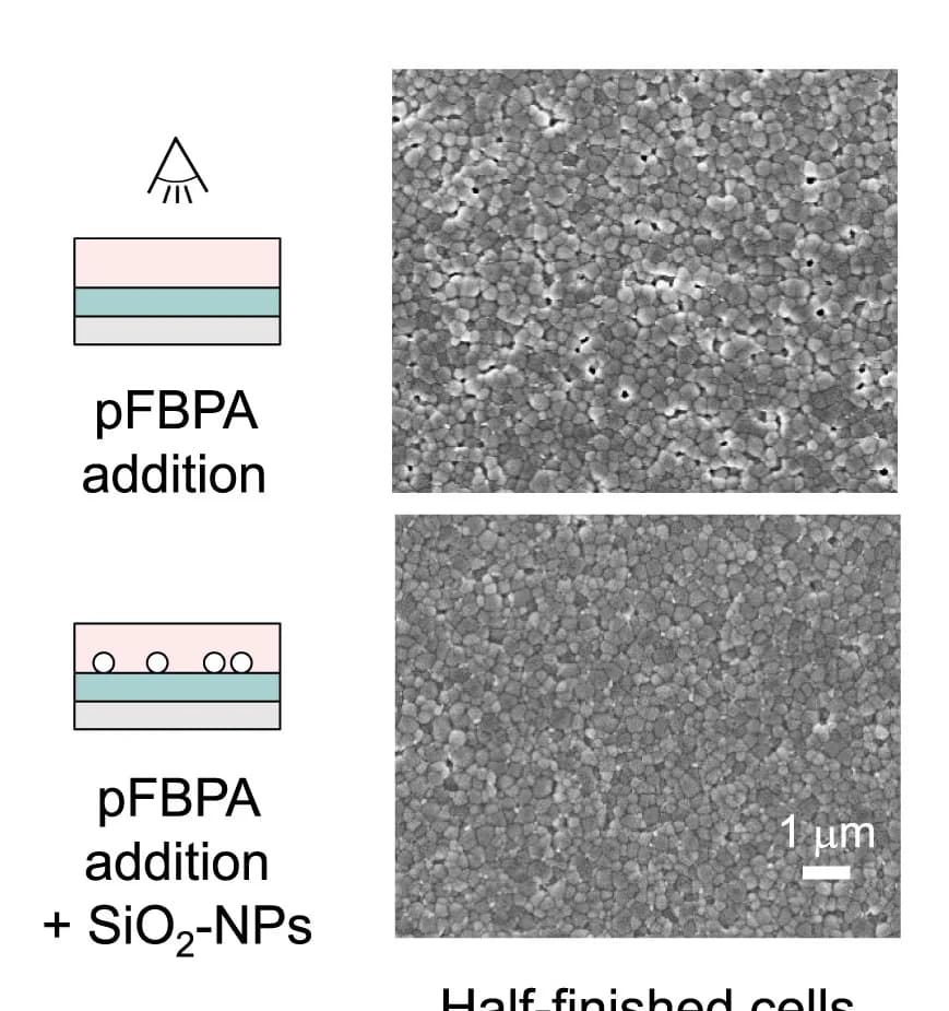 Open access visualization of Microscopy, Illustration, SEM Images, Perovskite Films, Glass/ITO/2PACz Substrates