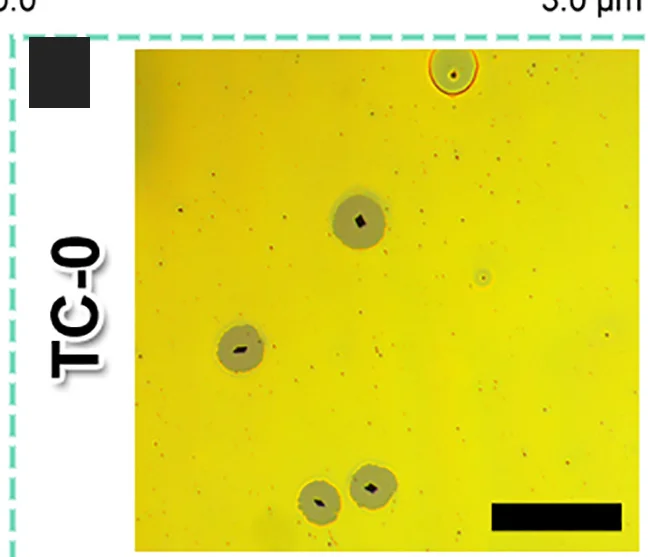 Open access visualization of Microscopy, Optical Microscope, TC-0 Film, Aging, Thermal Stress
