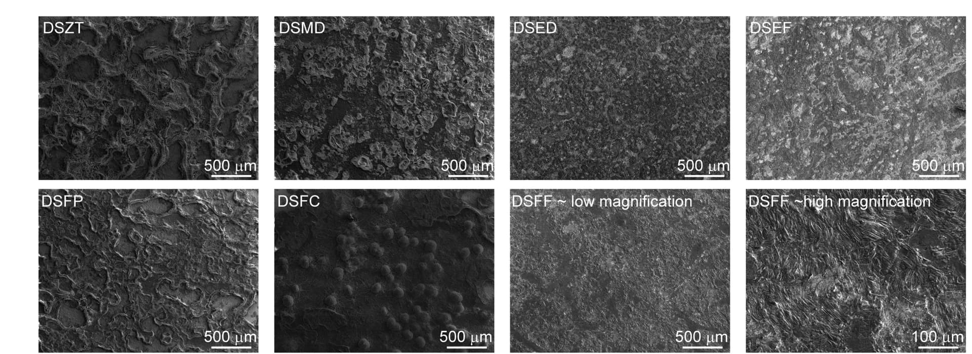 Open access visualization of Microscopy, Scanning Electron Microscopy, SEM, Zn Electrodes, Electrolytes