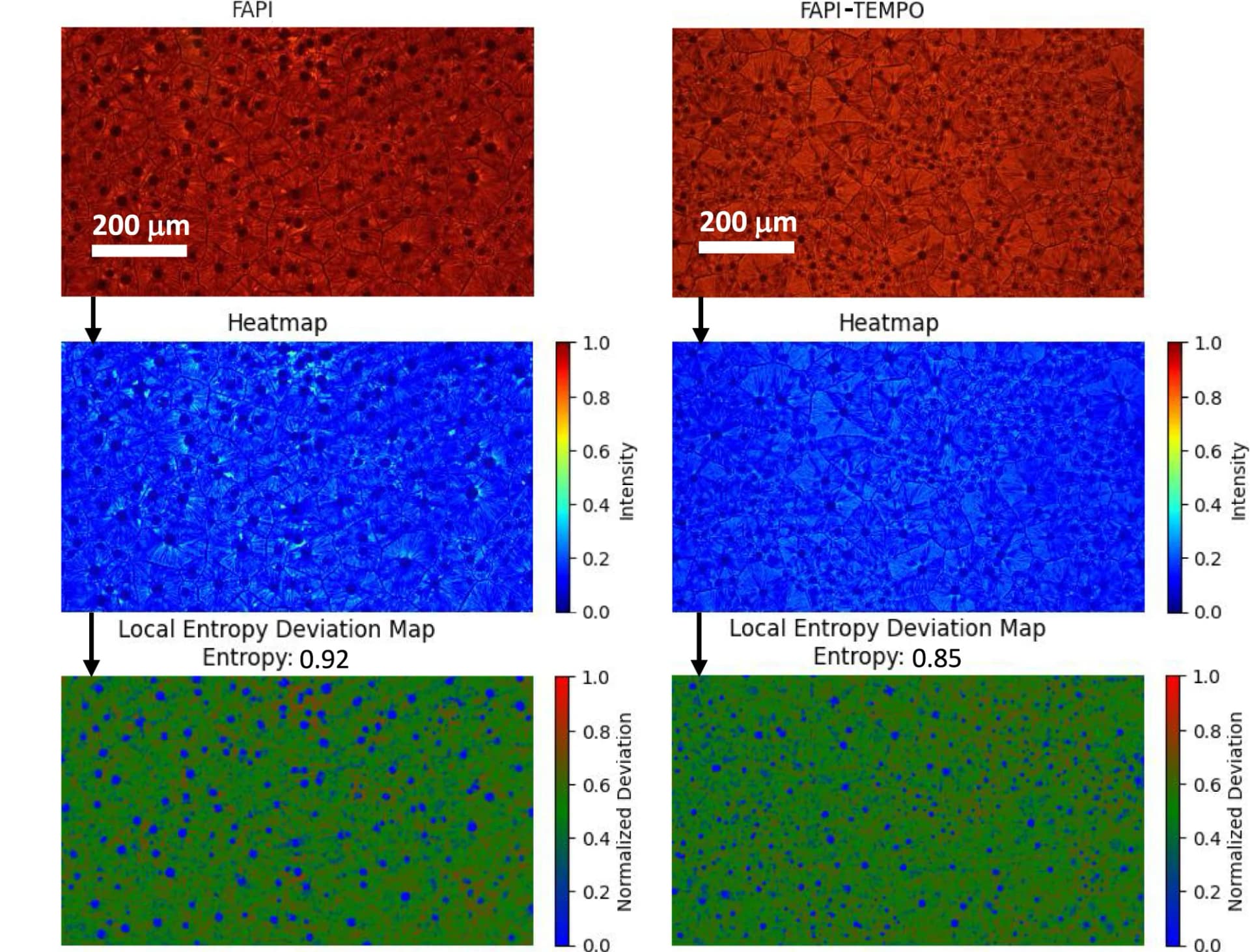 Open access visualization of Microscopy, Heatmap, Film Morphology, Entropy Mapping, FAPI