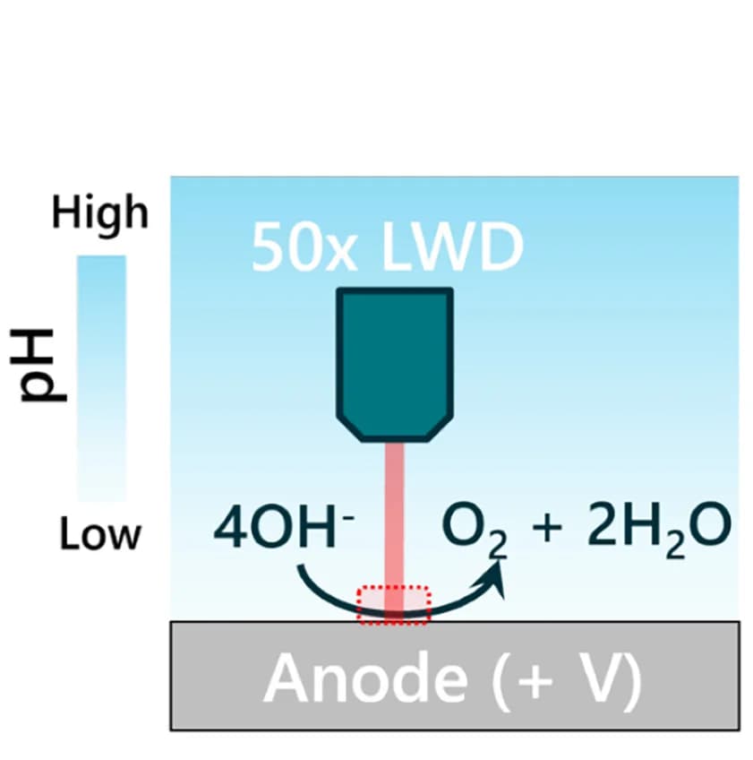 Open access visualization of Illustration, Workflow, In Situ Raman Measurement