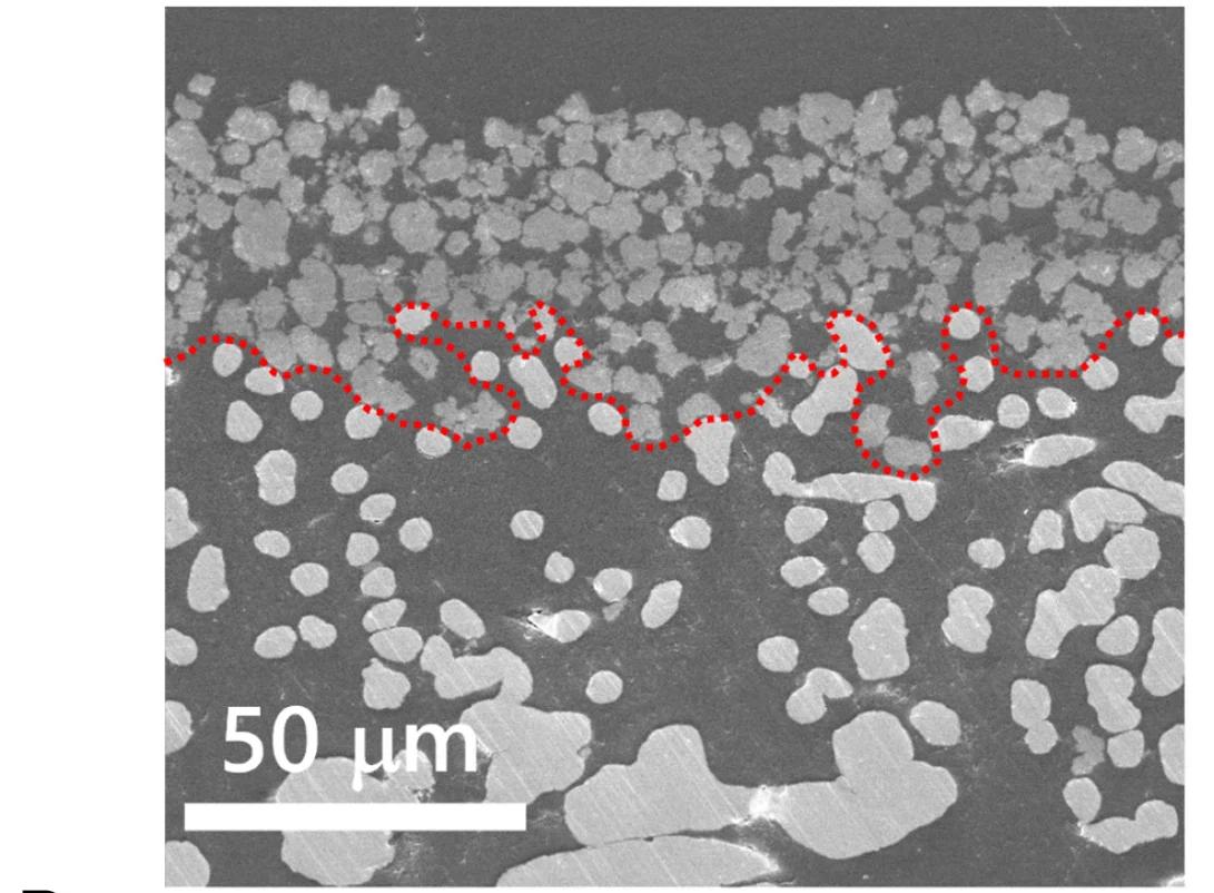 Open access visualization of Microscopy, SEM, DB-Electrodes, NCF, Catalyst Layer