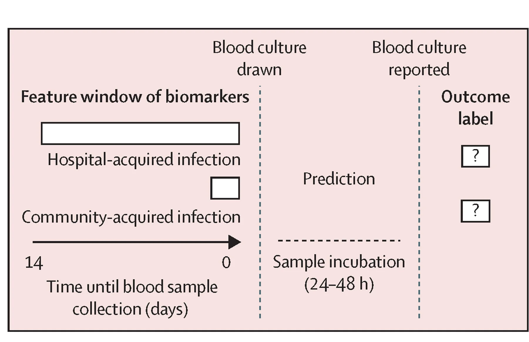 Open access visualization of Workflow, Flowchart, Illustration, Biomarker Features, Blood Culture
