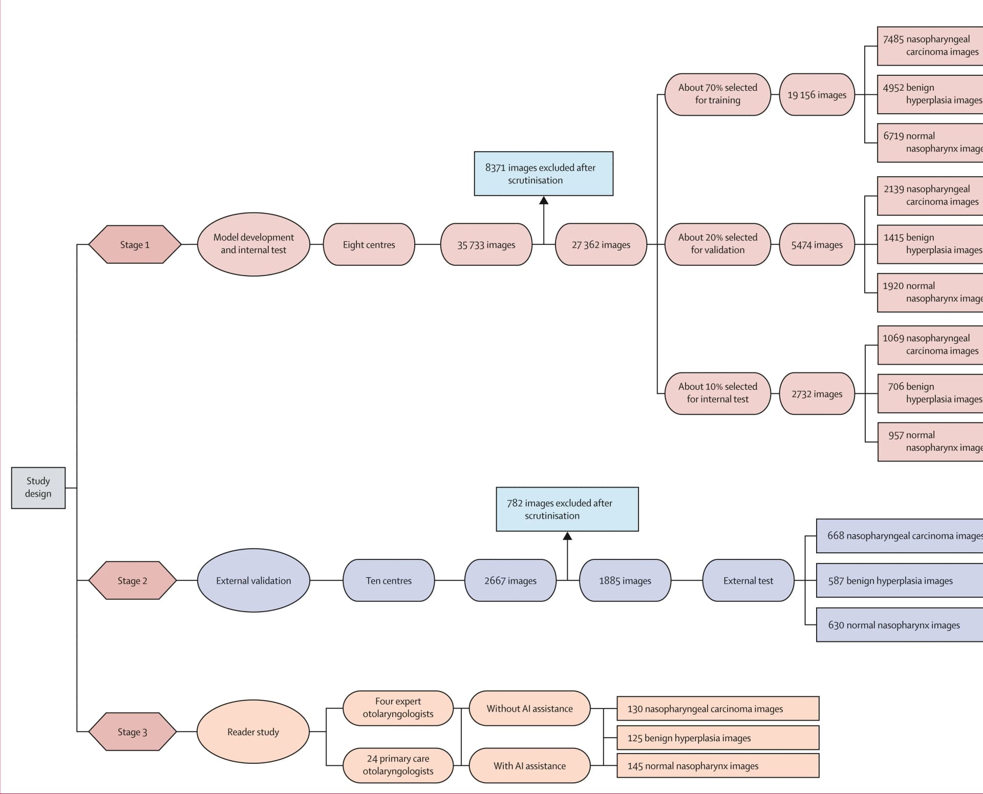 Open access visualization of Workflow, Flowchart, Internal Validation, External Validation, Reader Study