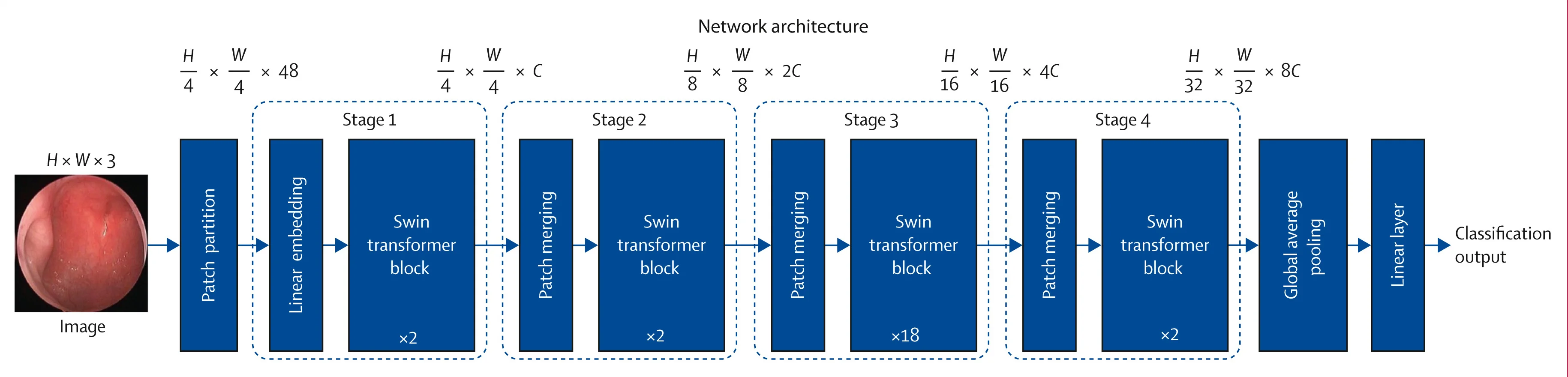 Open access visualization of Workflow, Flowchart, Network Architecture