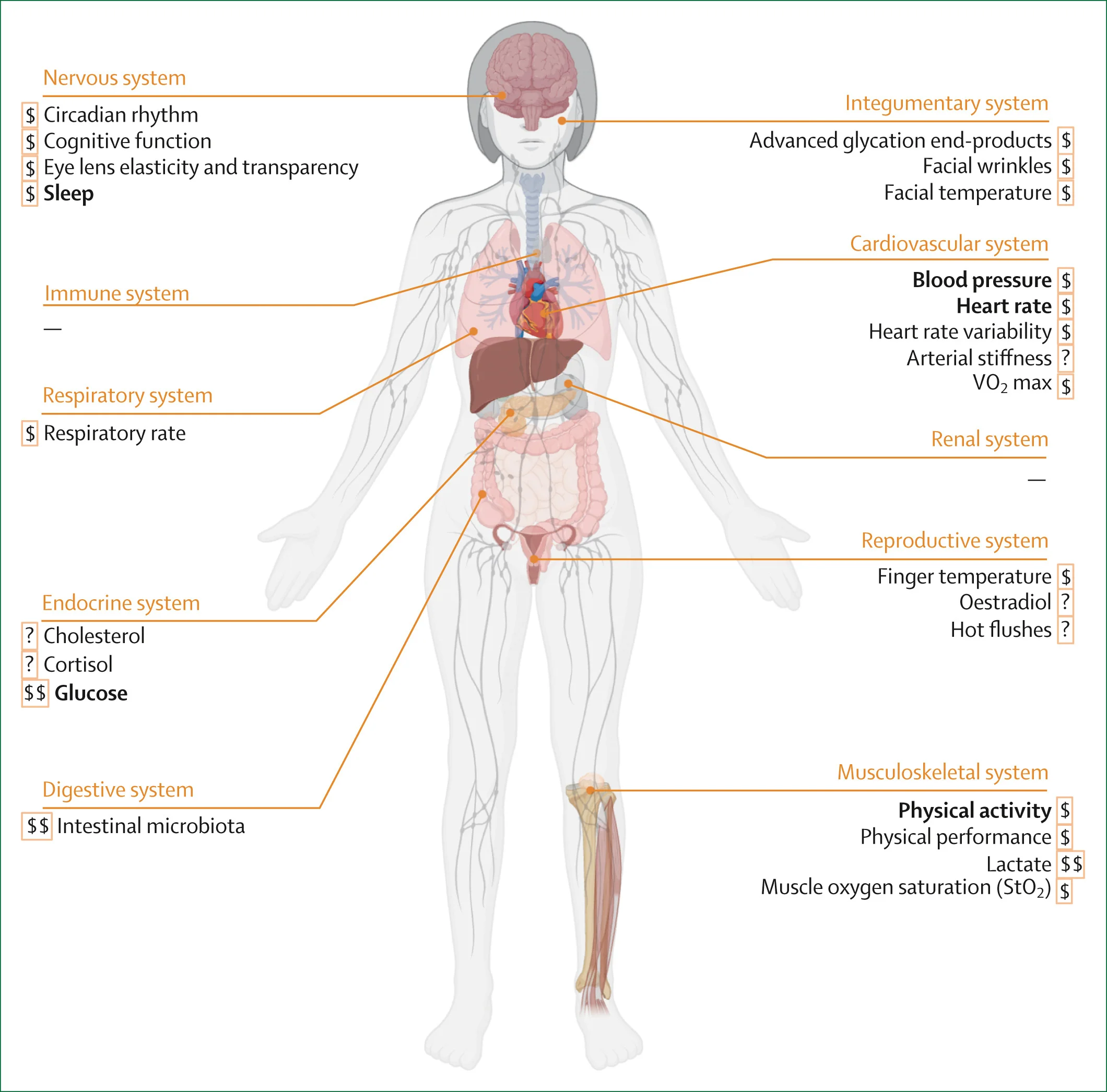 Open access visualization of Illustration, Digital Biomarkers of Aging, Physiological System, Clinical Trials, Cost Analysis