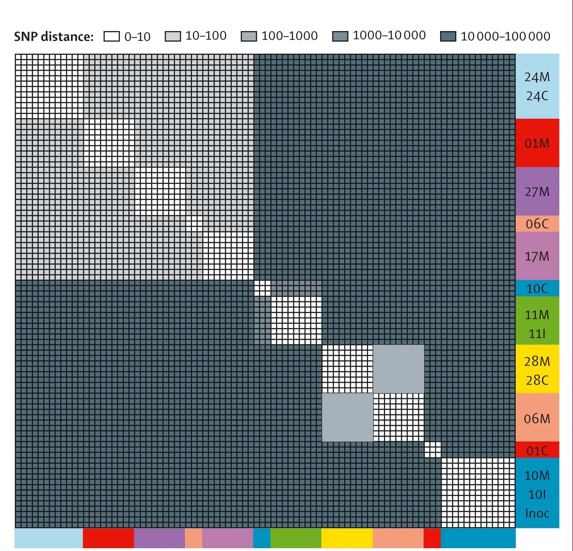 Open access visualization of Heatmap, RC SNP Distance, N Lactamica Genomes, Inoculated Families, Uninoculated Families