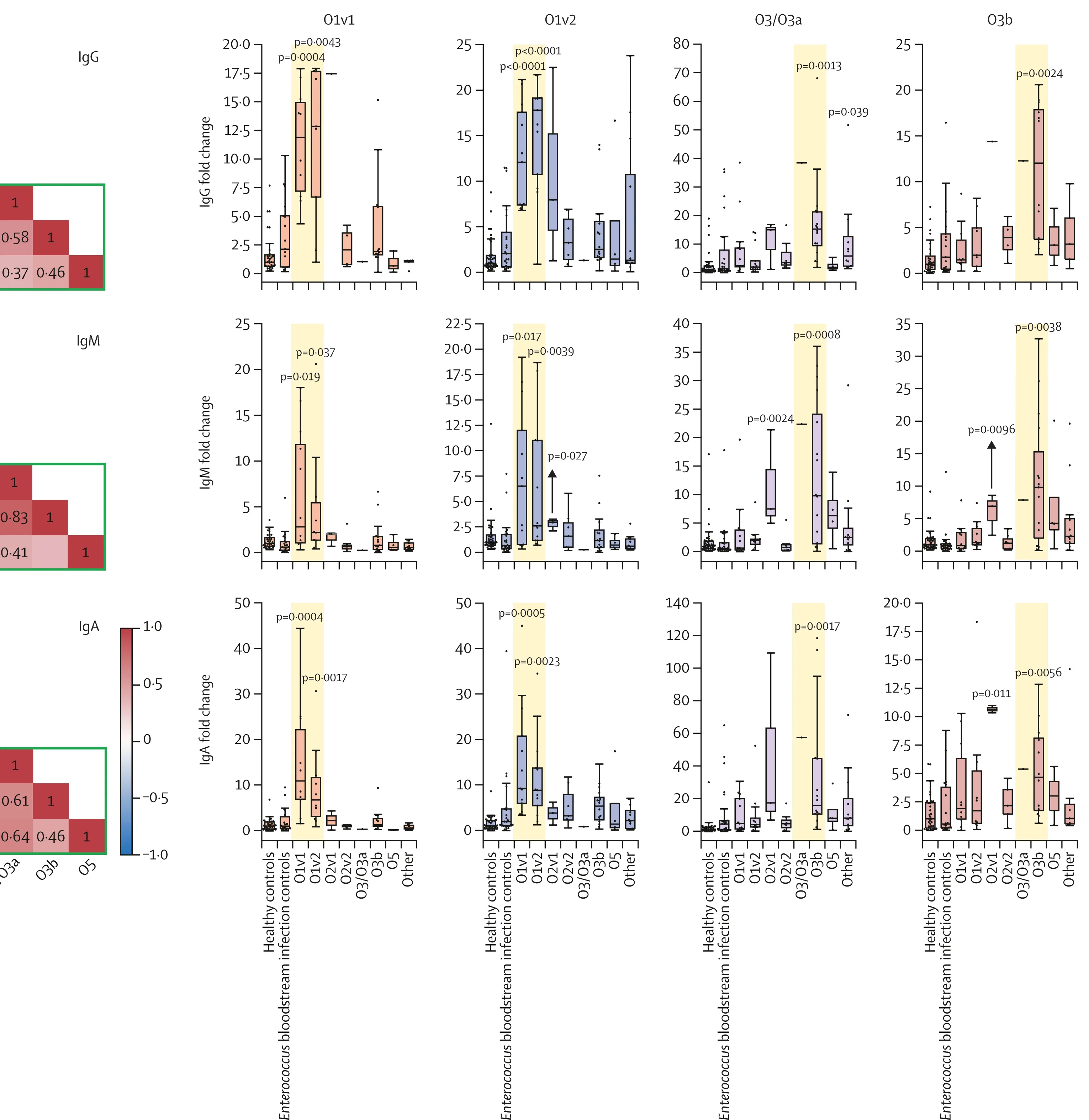 Open access visualization of Box Plot, Heatmap, Boxplots, IgG Antibody, IgM Antibody