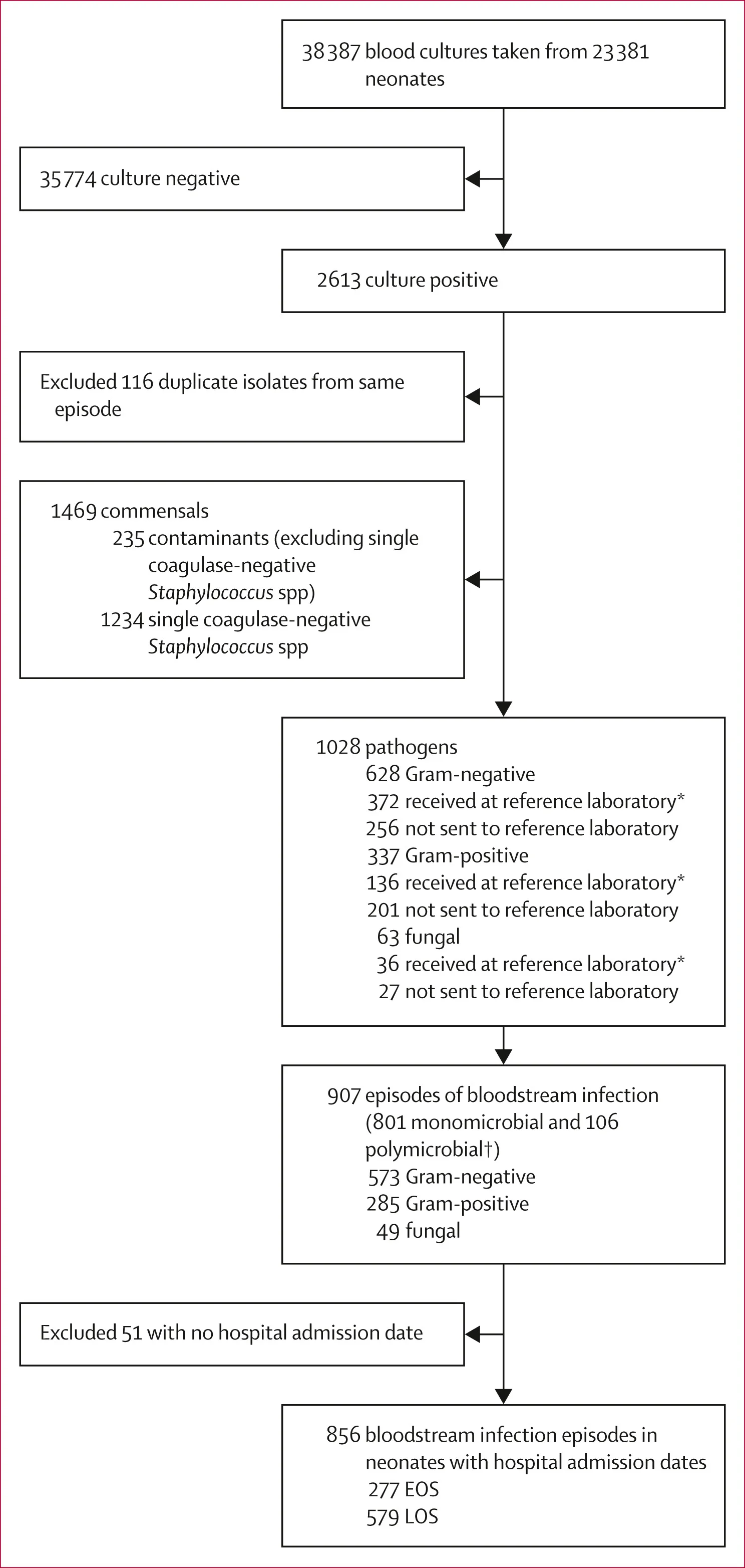 Open access visualization of Workflow, Flowchart, Bloodstream Infection, Polymicrobial Episodes, Early-Onset Sepsis