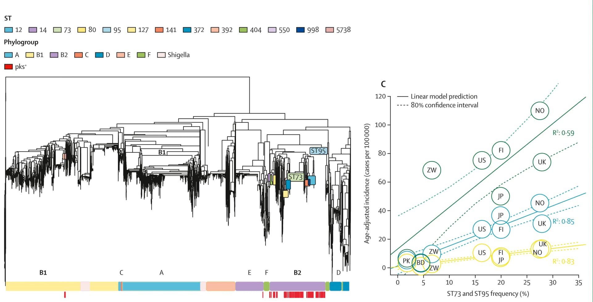 Open access visualization of Scatter Plot, Regression Plot, pks Island, E. coli, Phylogeny