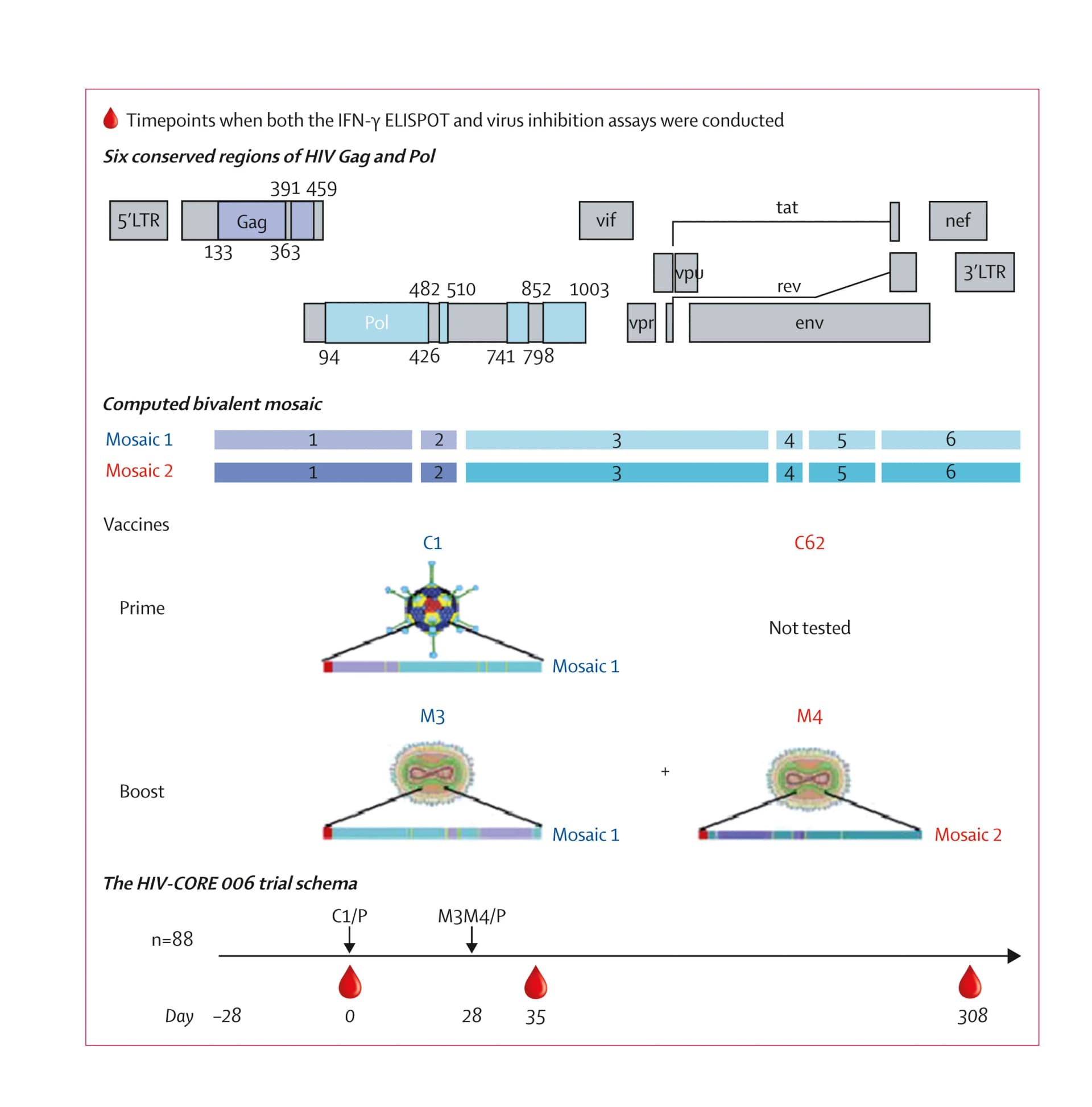 Open access visualization of Workflow, Illustration, HIV-1 Protein Sequences, Gag Protein, Pol Protein