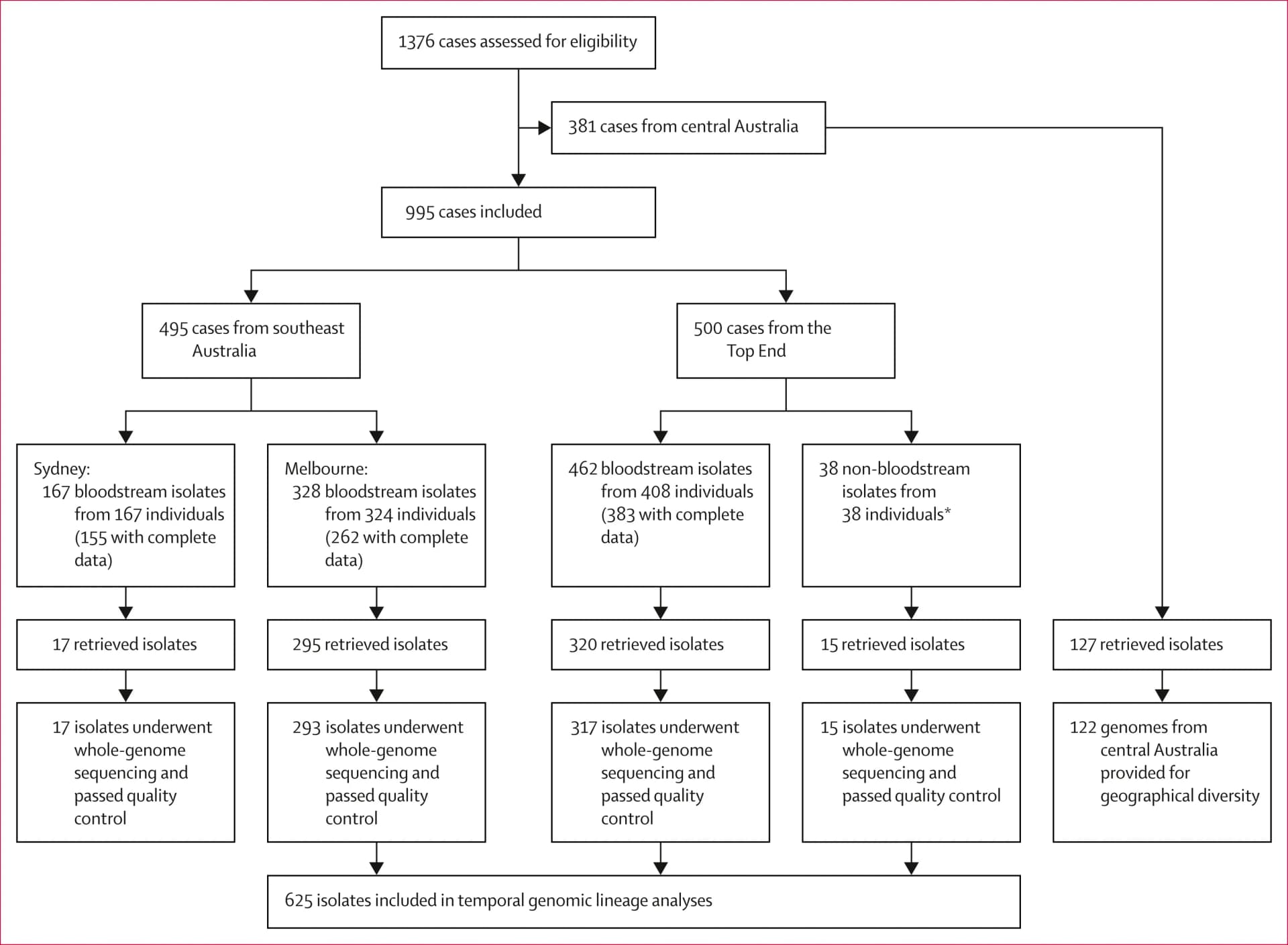 Open access visualization of Workflow, Flowchart, Streptococcus pyogenes, Infection, Bloodstream