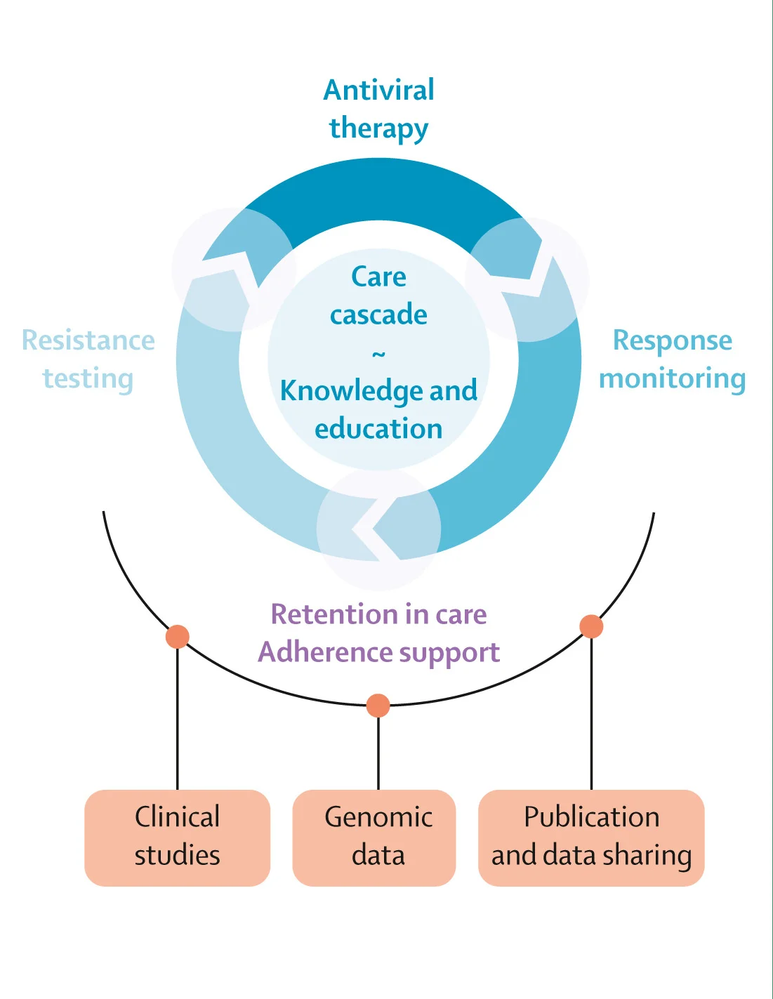 Open access visualization of Workflow, Flowchart, Antiviral Therapy, Adherence, Outcomes
