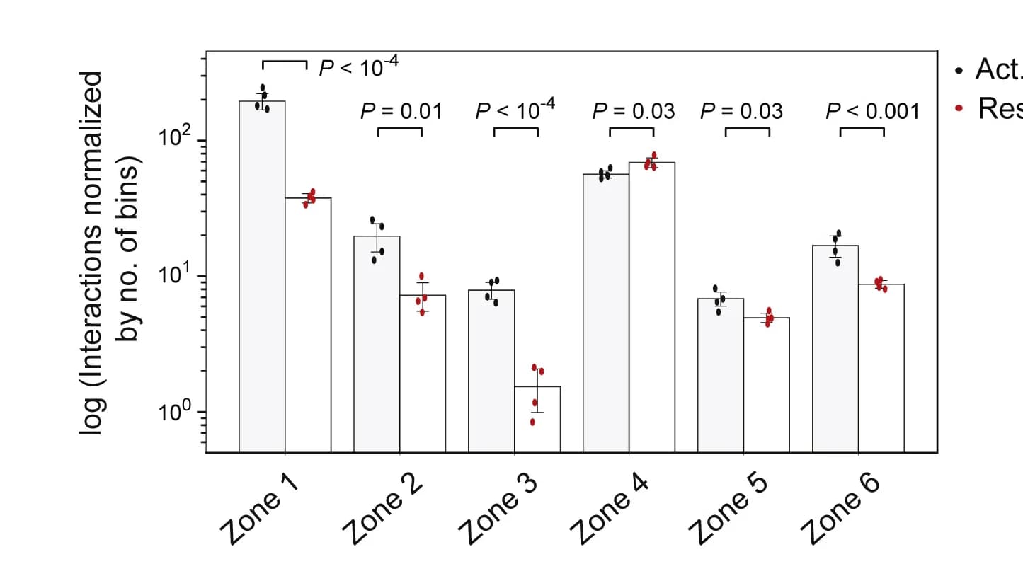 Open access visualization of Bar Plot, Error Bars, Clustered, Replicates, Quantifying interactions