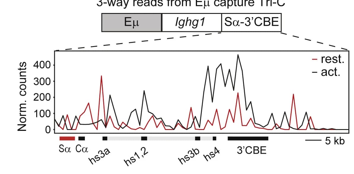 Open access visualization of Line Plot, Histograms, Contacts, Sa-3'RR-3'CBE region, Three-way reads