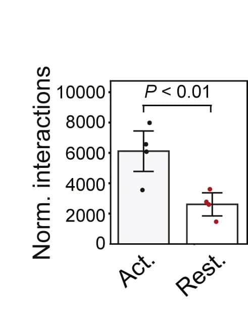 Open access visualization of Bar Plot, Error Bars, Interactions, Sa-3'RR-3'CBE region, Histogram