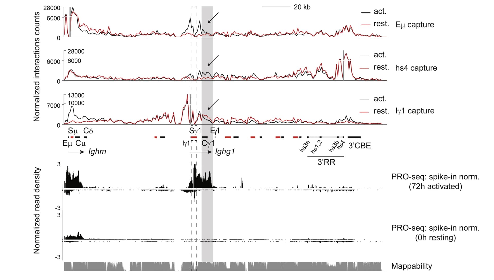Open access visualization of Line Plot, Bar Plot, Tri-C data, PRO-seq data, Contact Frequencies