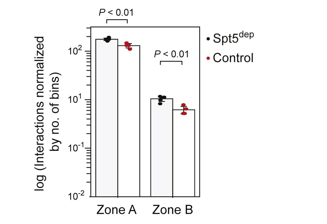 Open access visualization of Bar Plot, Error Bars, Clustered, Bar Plots, Interaction Frequency