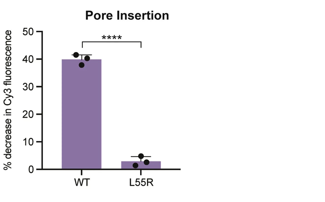 Open access visualization of Bar Plot, Error Bars, L55R Mutation, UT3 Domain, Cdc48-UN