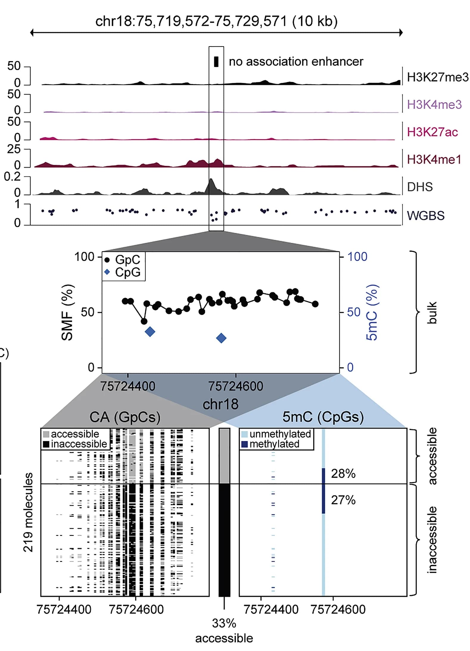 Open access visualization of Line Plot, Scatter Plot, Bar Plot, DNA Methylation, Chromatin Accessibility