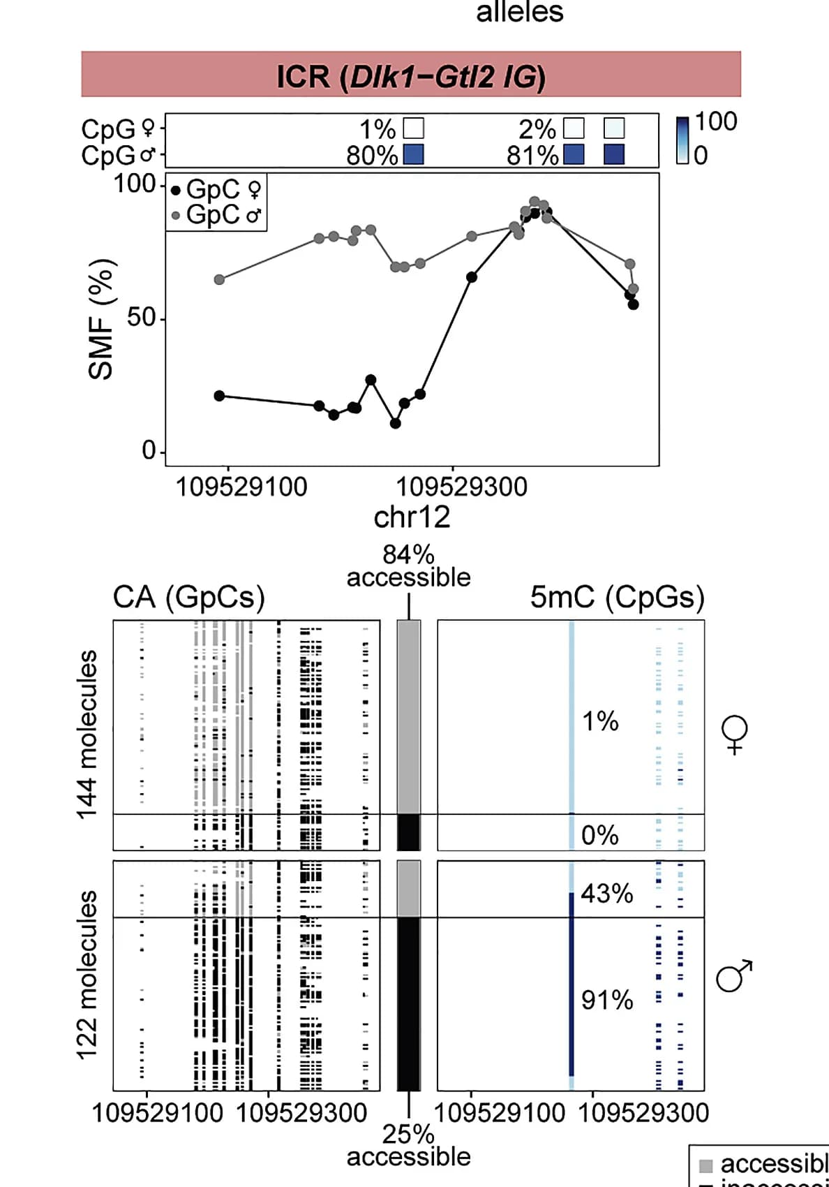 Open access visualization of Line Plot, Bar Plot, Locus, Imprinted Locus, Allelic Resolution