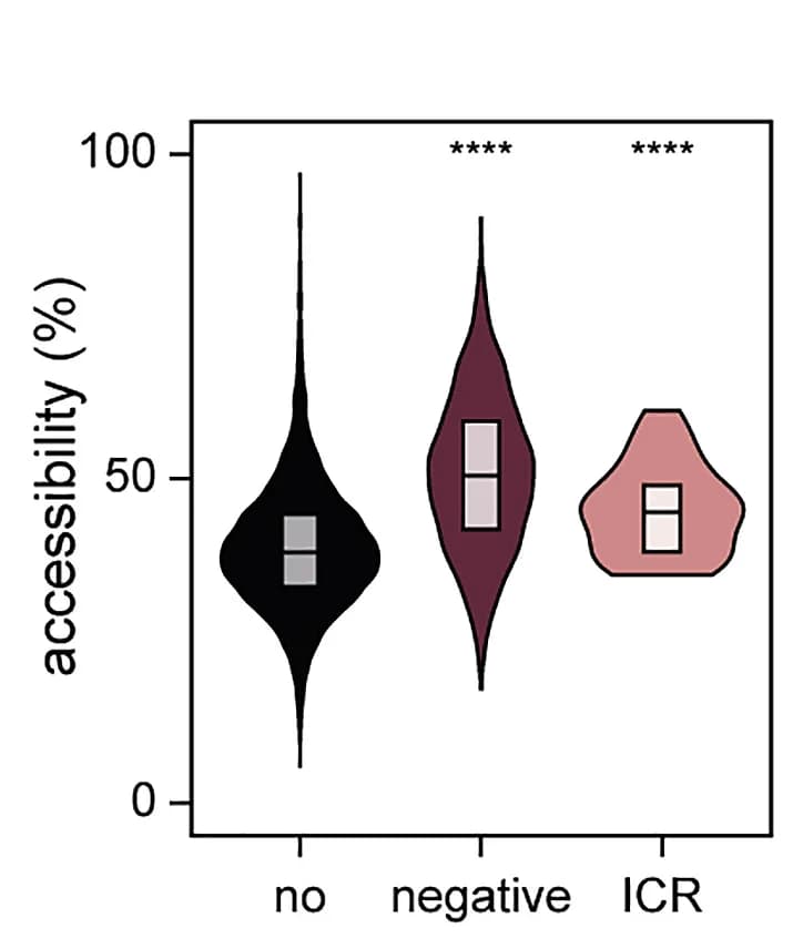 Open access visualization of Violin Plot, Box Plot, 5mC-CA association, Chromatin accessibility, Violin box plots