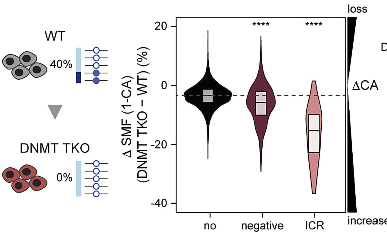 Open access visualization of Violin Plot, Box Plot, Chromatin Accessibility, DNA Methylation, Enhancers