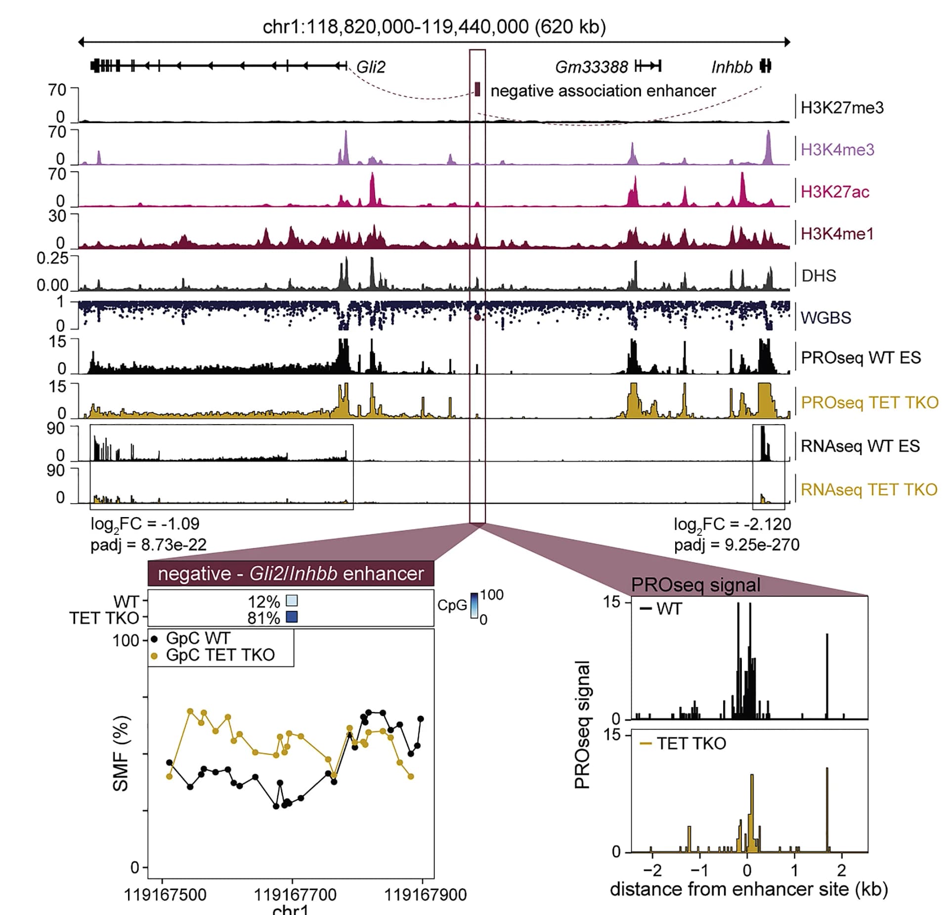 Open access visualization of Line Plot, Bar Plot, Histogram, Genomic Locus, Chromatin Accessibility