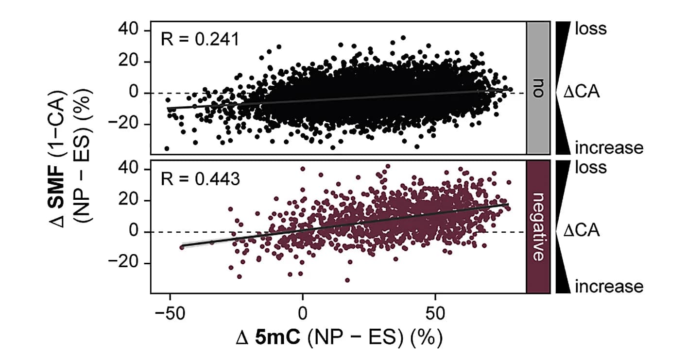 Open access visualization of Scatter Plot, Regression Plot, CA, Chromatin Accessibility, 5mC