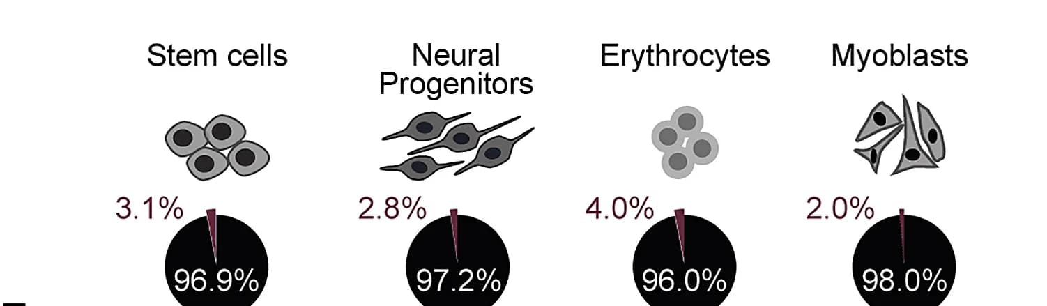 Open access visualization of Pie Chart, Illustration, CpGs, 5mC, CA