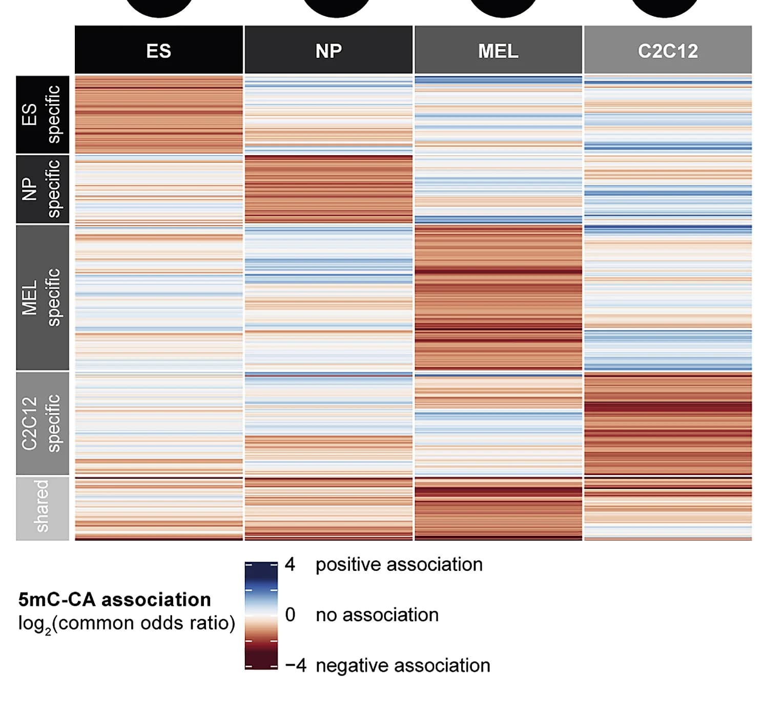 Open access visualization of Heatmap, 5mC, CA, Chromatin Accessibility, Cell-Type Specificity