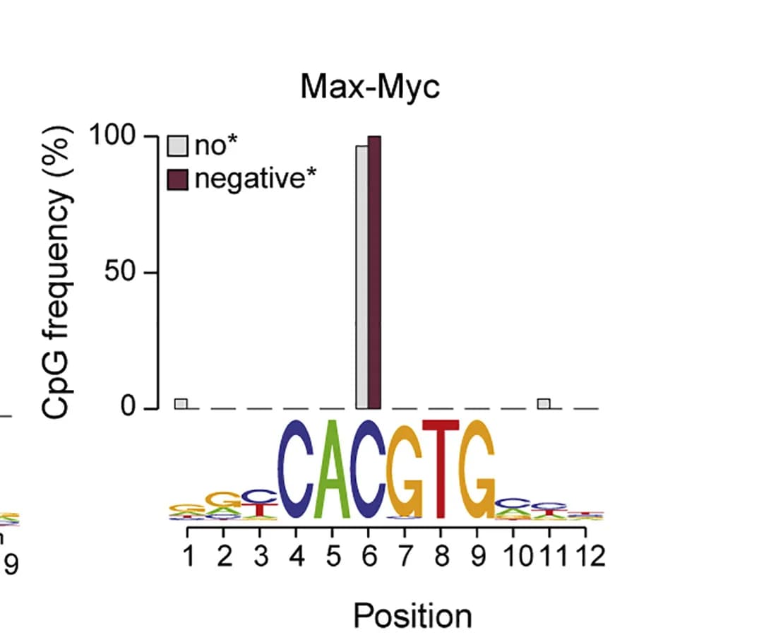 Open access visualization of Bar Plot, CpG Occurrence, Max-Myc Motifs, CpGs